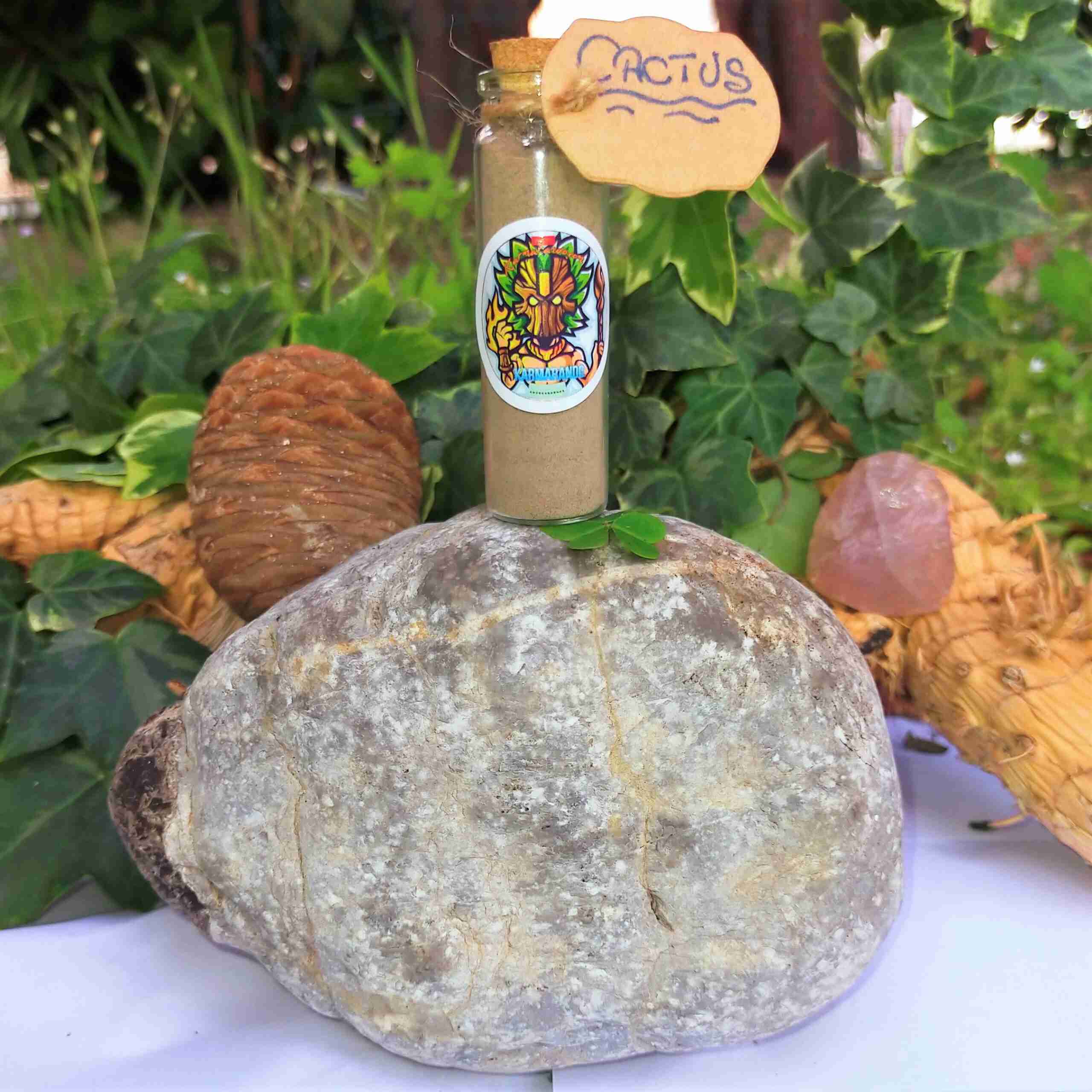 Rapé Cactus - Connexion et l'Intelligence émotionnelle
