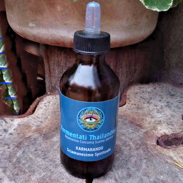 MÉLANGE de 6 Fermenté Fervente - de 12 ans