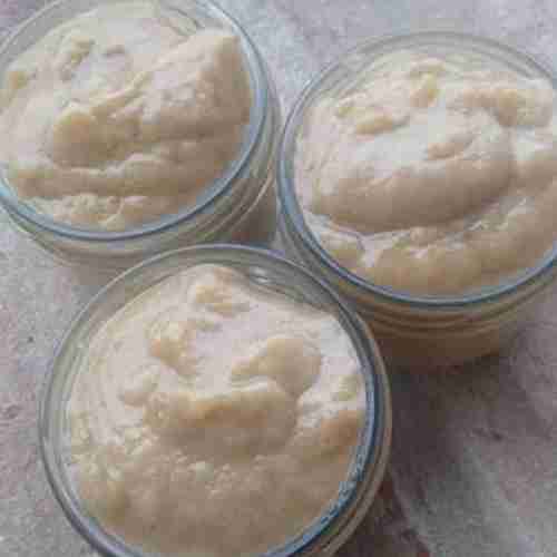 La crème Gel de la Vie de Fermentés Fervente Micro