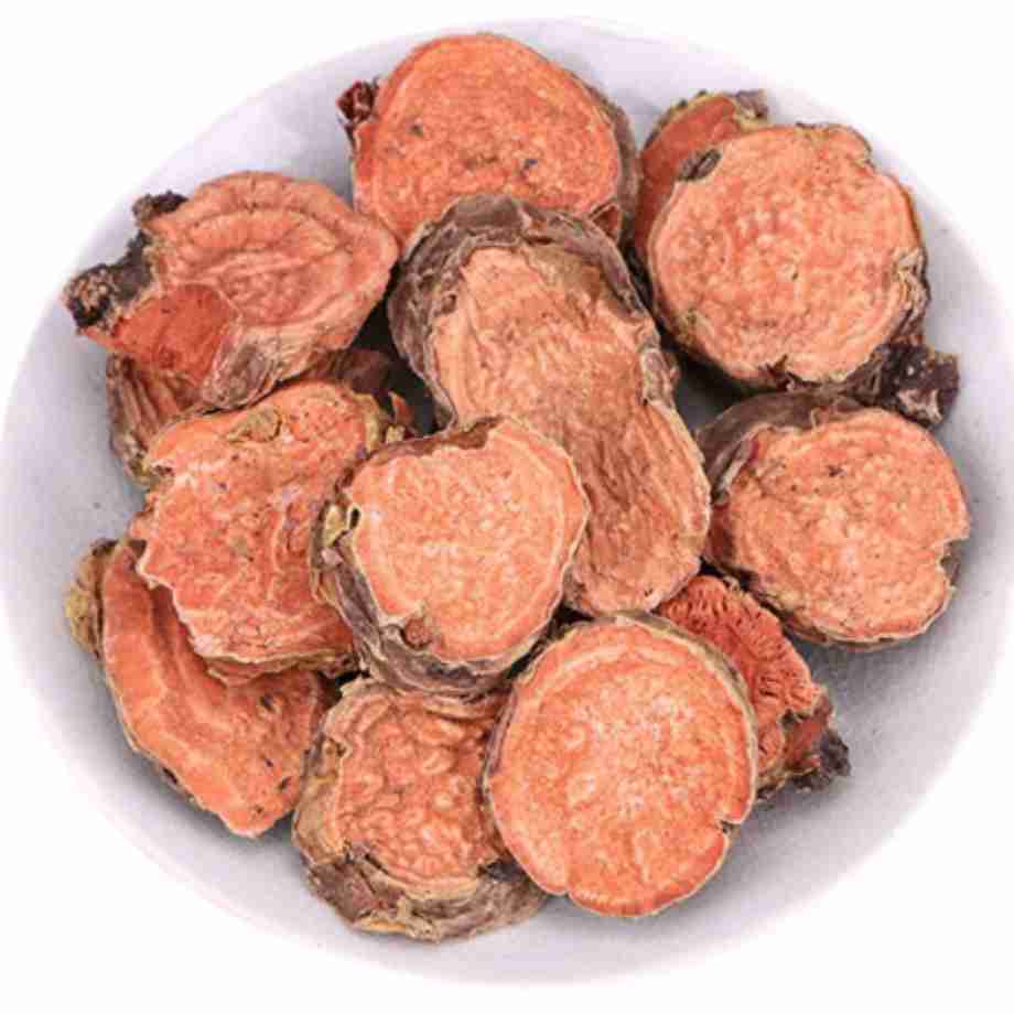 rodiola rosea plein