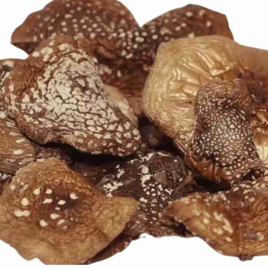 Amanita Phanterina Séchées Cerimona et de Microdosage