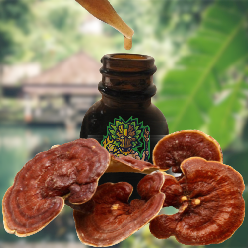 Reishi Ling Zhi (Ganoderma Lucidum) Rosso 100% BIO - Tintura Madre