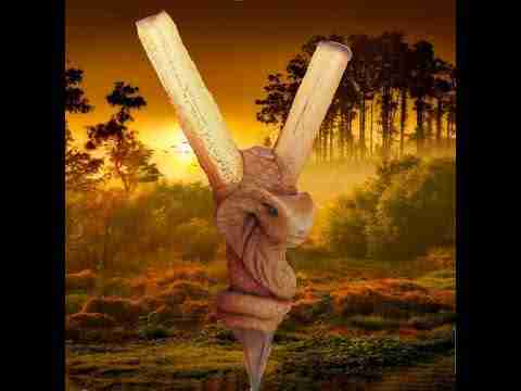 Kulipe Bambu Totem COBRA Amuleto avec des Pierres puissantes: ce qu'est, origine, effets et utilisation consciente