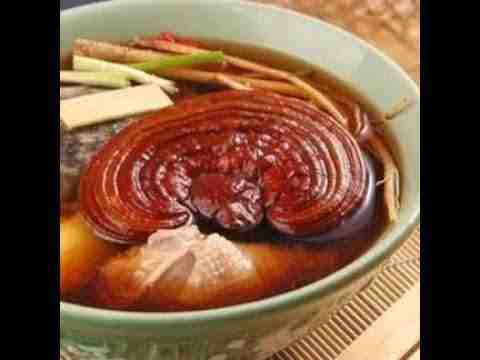 Reishi Ling Zhi (Ganoderma Lucidum) Rouge 100% BIO - Intérieur Séché: caractéristiques, utilisation et limites réalistes