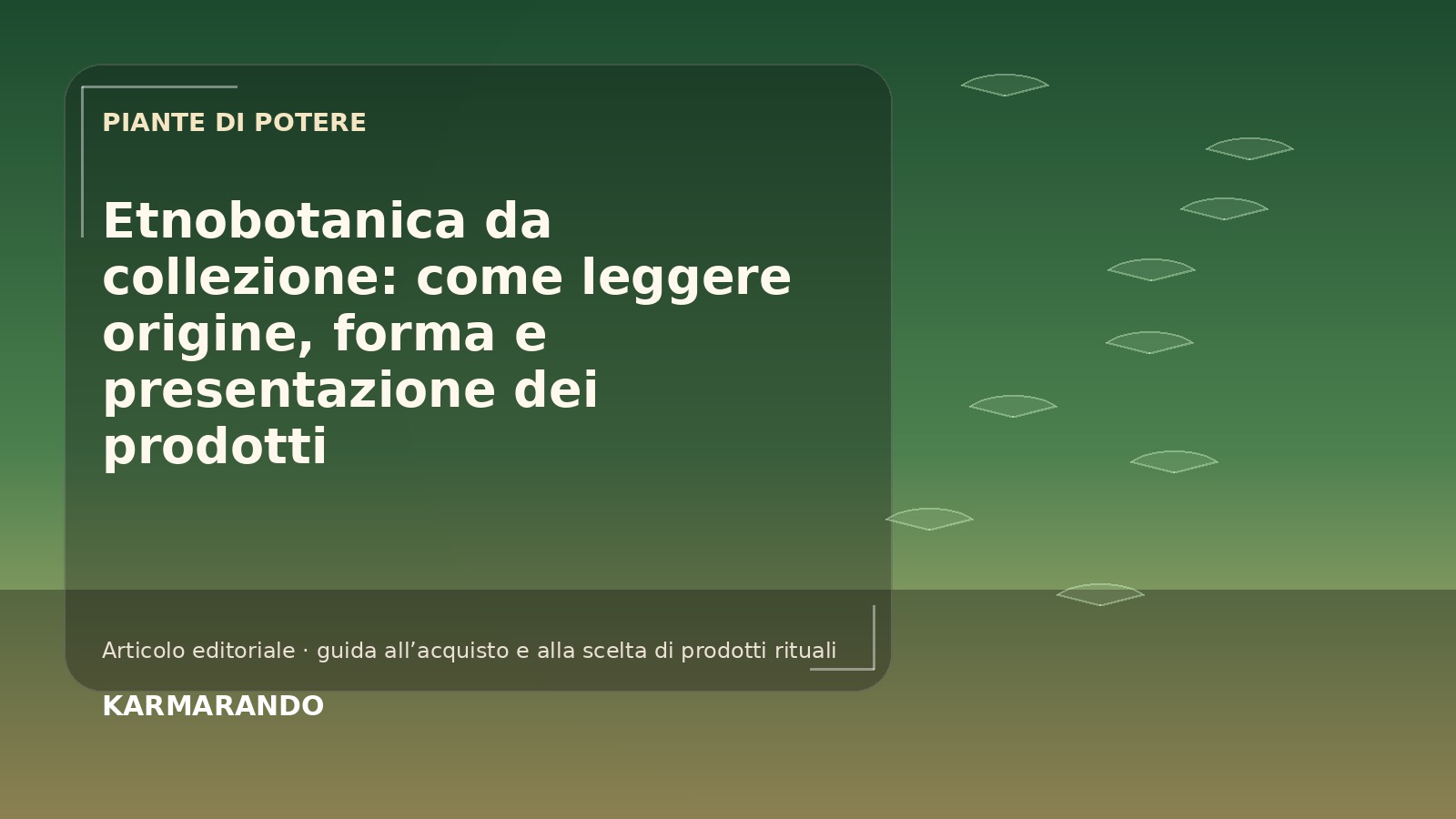 Etnobotanica da collezione: venez leggere origine, forma e presentazione dei prodotti